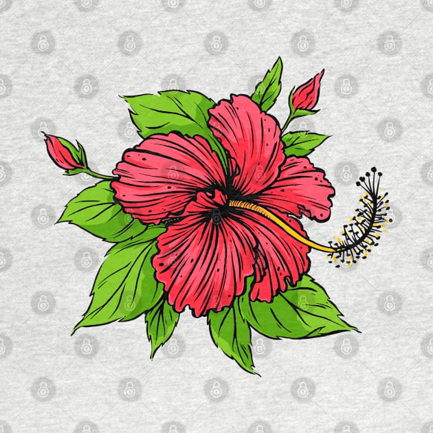 hibiscus flower hand drawn by Mako Design 